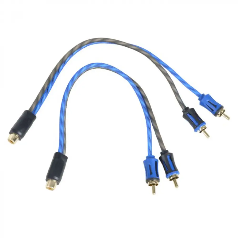FSD audio SRCA Y2M