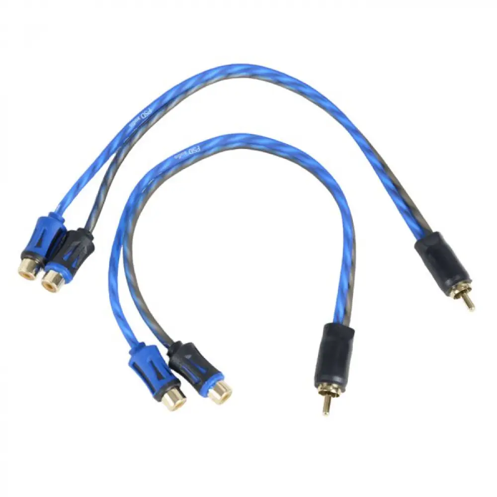 FSD audio SRCA Y2F