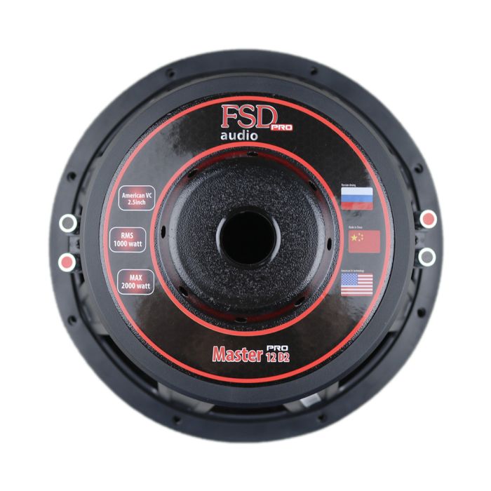 FSD audio MASTER 12 D2 PRO