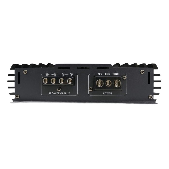 FSD audio MASTER 1000.1